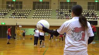 20180805 春夏秋冬杯 決勝 ambitious vs 鷹狸鱒 1set