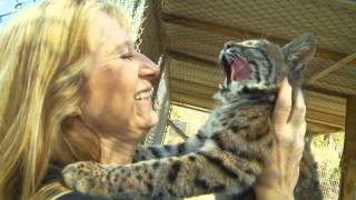 The Texas Bucket List Tiger Creek Wildlife Refuge Youtube