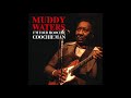 Muddy Waters- Mannish Boy- 12 Bar Blues Backing Track In A