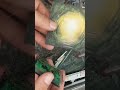 minidiorama parte 2 #miniature