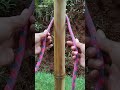 Bowline knot ‼️✅  #knot #rope #a #diy #handmade #camping #outdoor #tutorial