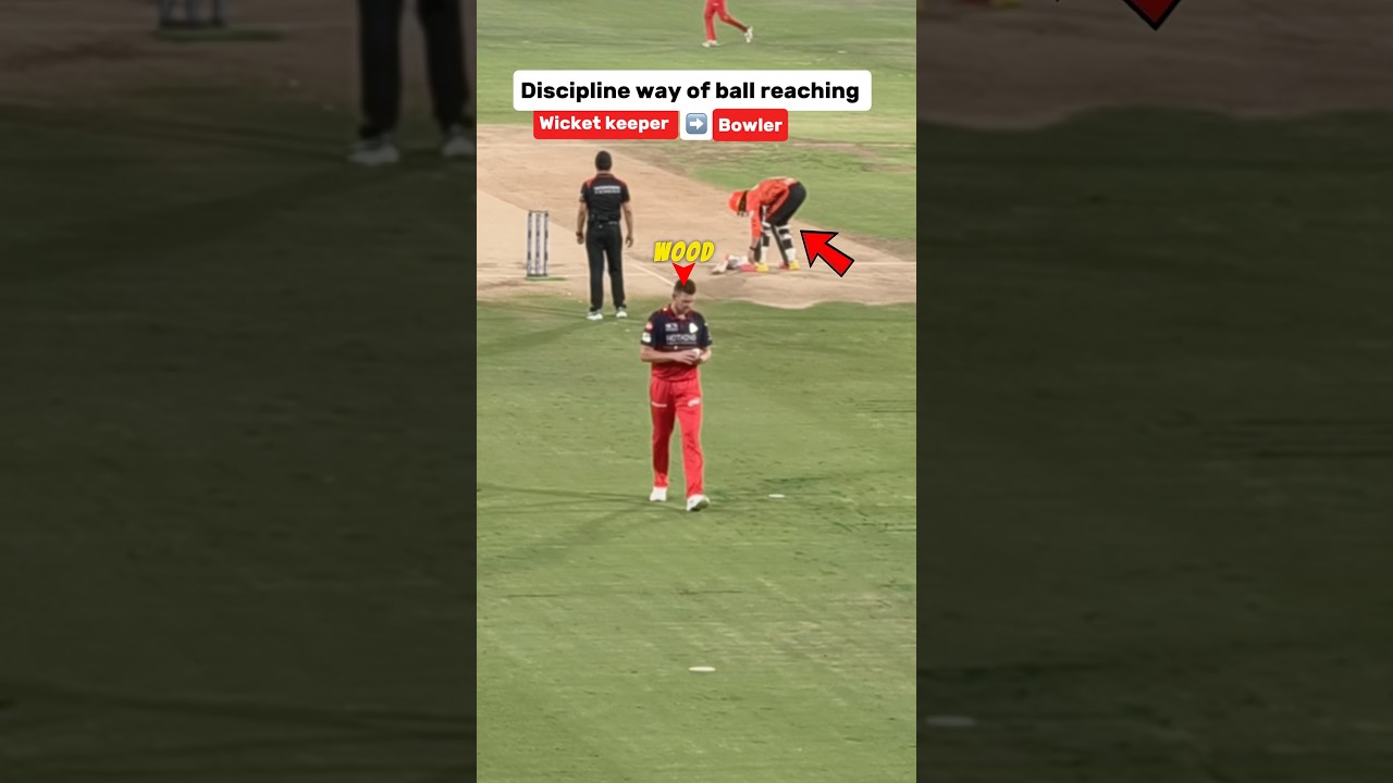 Discipline Way Of Ball Passing By RCB Team #shortvideos #Shorts