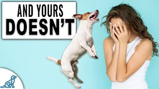 4 Reasons Everyone Else's Dog Listens To Them...
