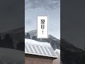 動物はたいせつに #shorts