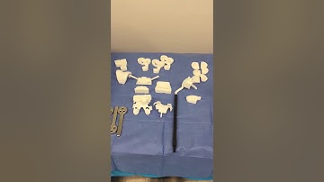 Brief demo of Custom Total Knee Replacement.