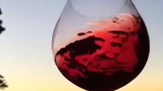 Şarap Aşk Ile Içilir , Rakı Dertlilerle İçilir