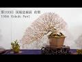 [4K 全出品樹収録] 第100回 国風展 前期 2026