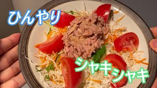 ひんやりシャキシャキ生野菜サラダの作り方