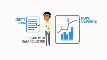 Insyt | Effortless Data Collection & Reporting