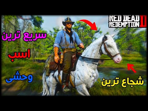 مکان بهترین اسب های بازی رد دد دو 