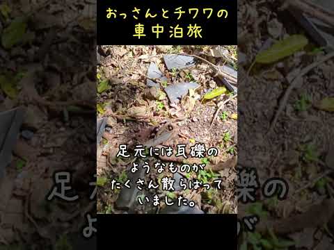 戦時中アメリカに爆撃された灯台見に行ってみた。#shorts