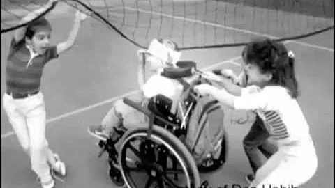 Celebrating the 40th Anniversary of IDEA