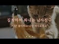 남자 ASMRㅣ질투하며 화내는 남자친구ㅣ 여성향 Role Playing ASMR Korean Boyfriend ASMR 남자 ASMRㅣ질투하며 화내는 남자친구ㅣ 여성향 Role Playing ASMR Korean Boyfriend ASMR