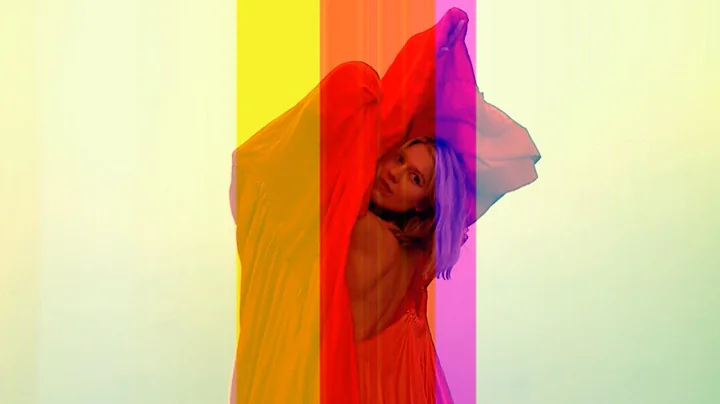 Petra Cortright in coversation with Lindsay Howard...