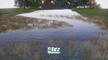 Stream Flooding Visualization