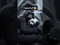 Pandagorilla ai fusion viral animals fyp aiart panda gorilla animal roadto80k