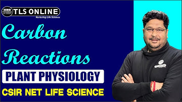 Carbon Reactions I Plant Physiology I Photosynthesis I CSIR NET Life Sciences | Ashish Kr Dwivedi |