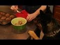 Homemade Dog Food: Preview