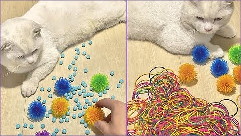 Satisfying Reverse Video ASMR 💥 Marble Run and More #viralshortvideo