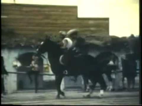 Видео: Трейлер (Женская компания, 1971) - вся информация о фильме на FilmNavi.ru