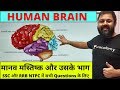 Human Brain & Functioning (मानव मष्तिष्क एवं उसके भाग और सभी कार्य) - SSC 2020, All Government Exams