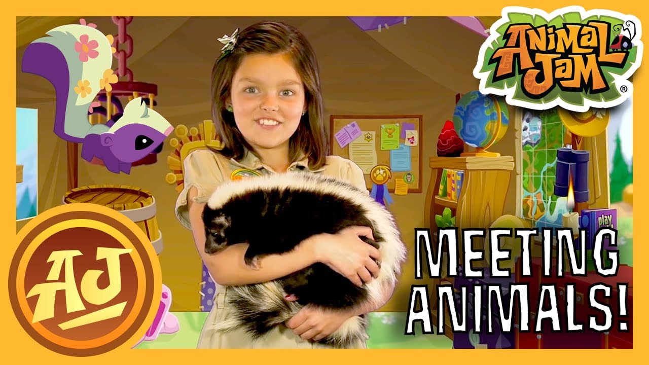 Wild Explorers: Meeting Animals with Cami! | Animal Jam - YouTube