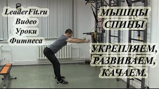 МЫШЦЫ СПИНЫ - РАЗВИВАЕМ, УКРЕПЛЯЕМ, КАЧАЕМ! Упражнения с резиновой петлей для сильной спины! МЫШЦЫ СПИНЫ - РАЗВИВАЕМ, УКРЕПЛЯЕМ, КАЧАЕМ! Упражнения с резиновой петлей для сильной спины!