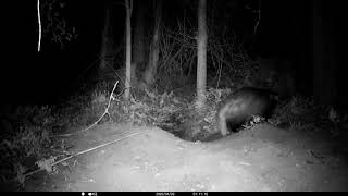 My Springwatch 2020 Episode 1