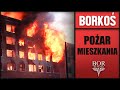 Motoambulans - pożar mieszkania i poszkodowani / Ewakuacja!