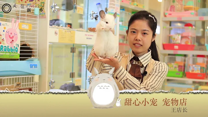 你了解現實中的龍貓嗎？帶你一起擼龍貓~ - 天天要聞