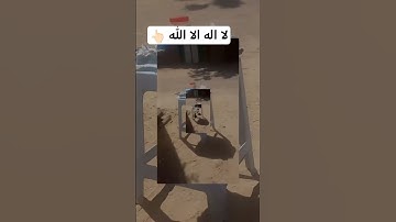 لا اله الا الله انت سبحانك يارب 🤲🏻#ياسر_الدوسري #تلاوة_خاشعة #رح_سمعك #اكسبلور #islam#viral