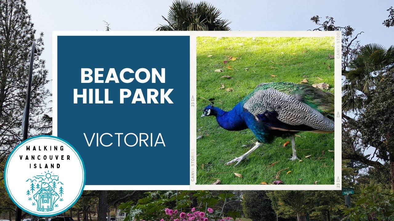 Why Beacon Hill Park is One of Canada’s Most Beautiful City Parks