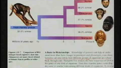 Dr. Kent Hovind - Part6 - More Reasons Why Evolution is Stupid