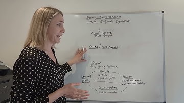 10. CTS-R Conceptual Integration