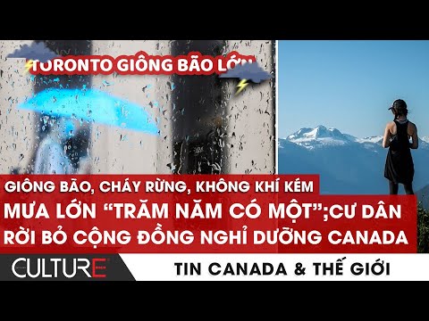 Video: IBC lần thứ 19 được tổ chức ở đâu?