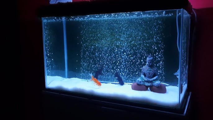 Fish Tank Decoration Ideas (with Artificial Grass) Fish Tank Setup