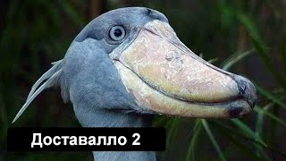 :  2 -     
