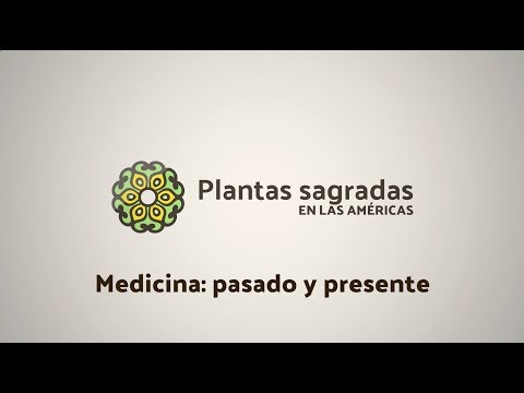 Santa Rosa: Ritual Practices with Cannabis | Plantas Sagradas en las Américas