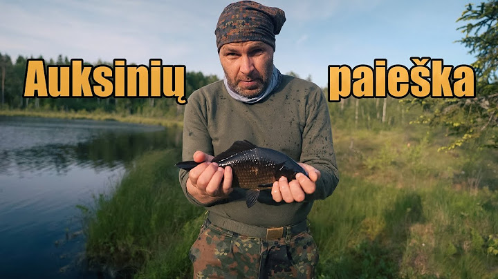 Žygis į pelkinį ežeriuką auksinių karosų