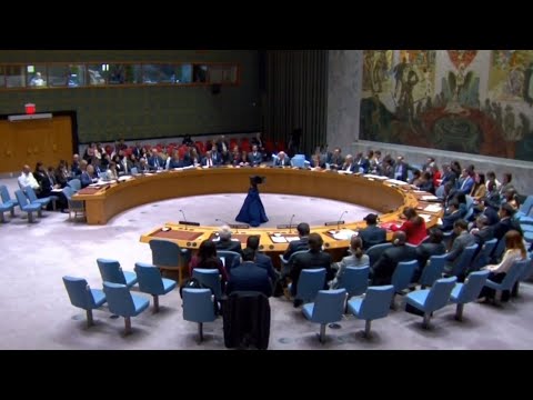 US vetoes UN resolution calling for immediate humanitarian ceasefire in Gaza