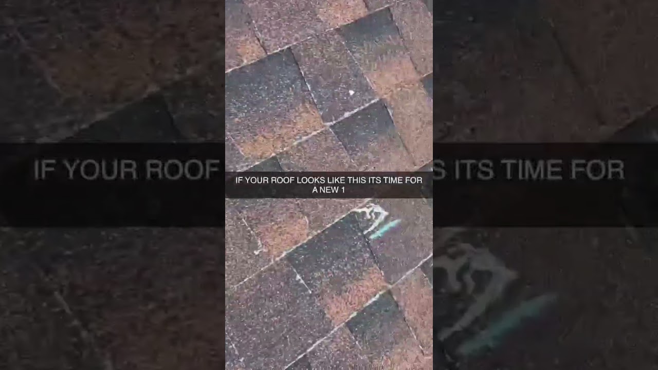 ROOF REPLACEMENT NEEDED ASAP! 