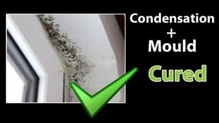 EASY - How to STOP CONDENSATION - Get Rid of Black Mold and Clean Mould
