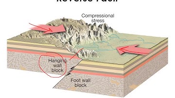 GE 204/205: video7 - Crustal Deformation