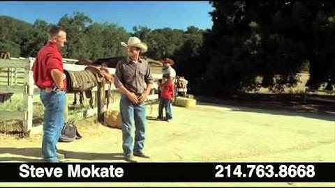 STEVE MOKATE DEMO REEL