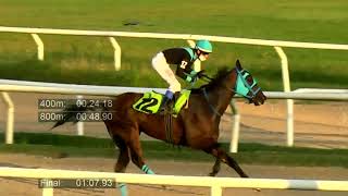 210416 c09 - ES TIMBERO - HIPODROMO LAS PIEDRAS