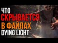 ЧТО НАХОДИТСЯ В ФАЙЛАХ ИГРЫ DYING LIGHT?