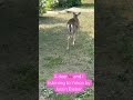 A regular day in Canada