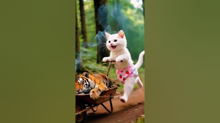 He Killed a Tiger to Save His Dad, Now He's in Jail...#catvideos #mewmew #shorts