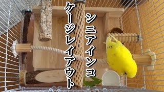 シニアインコ バリアフリーケージレイアウトを考える Youtube