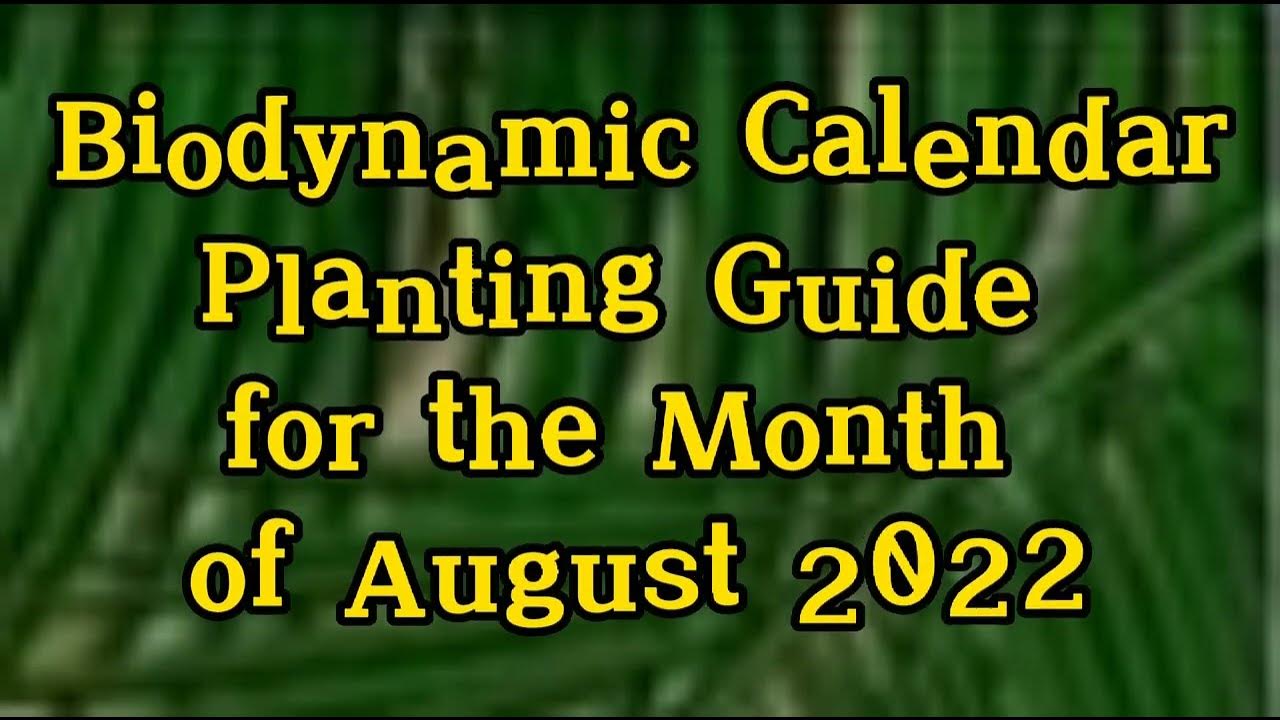Biodynamic calendarPlanting Guide for August 2022 YouTube